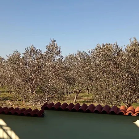 Apolo Apartment Pula