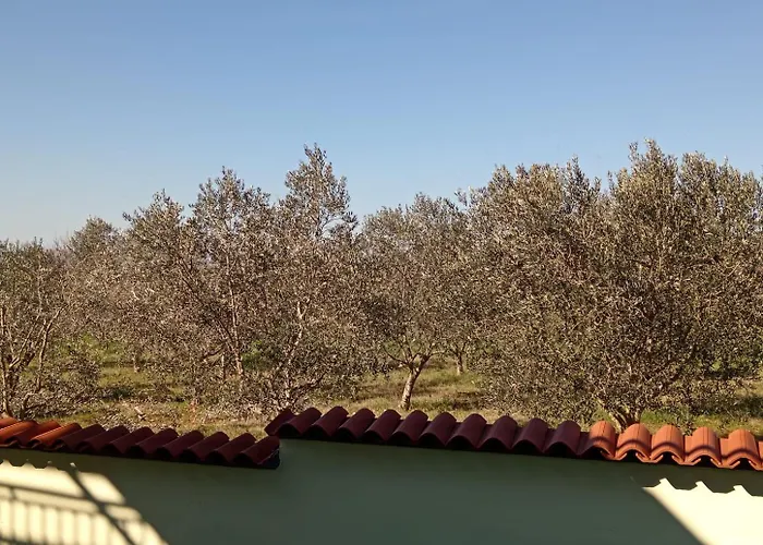 Apolo Apartamento Pula