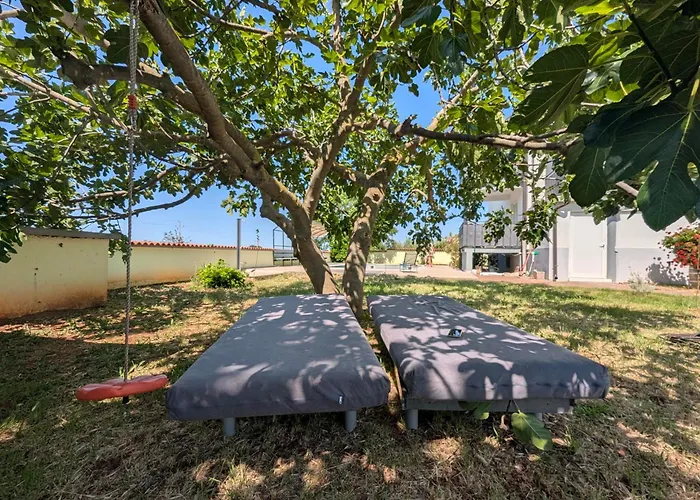 Apolo Apartamento Pula